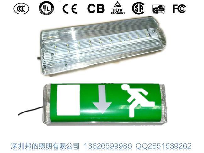 登峰牌LED应急防雾灯 ，防水ED应急壁灯，LED防雾应急灯